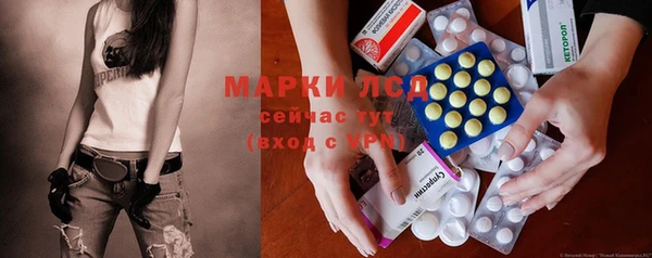 jwh Новозыбков