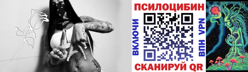 Галлюциногенные грибы Psilocybe Солигалич