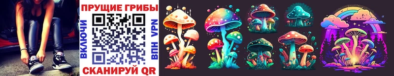 Псилоцибиновые грибы Psilocybe  Солигалич 